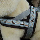 Dog Harness Doggy's Joy